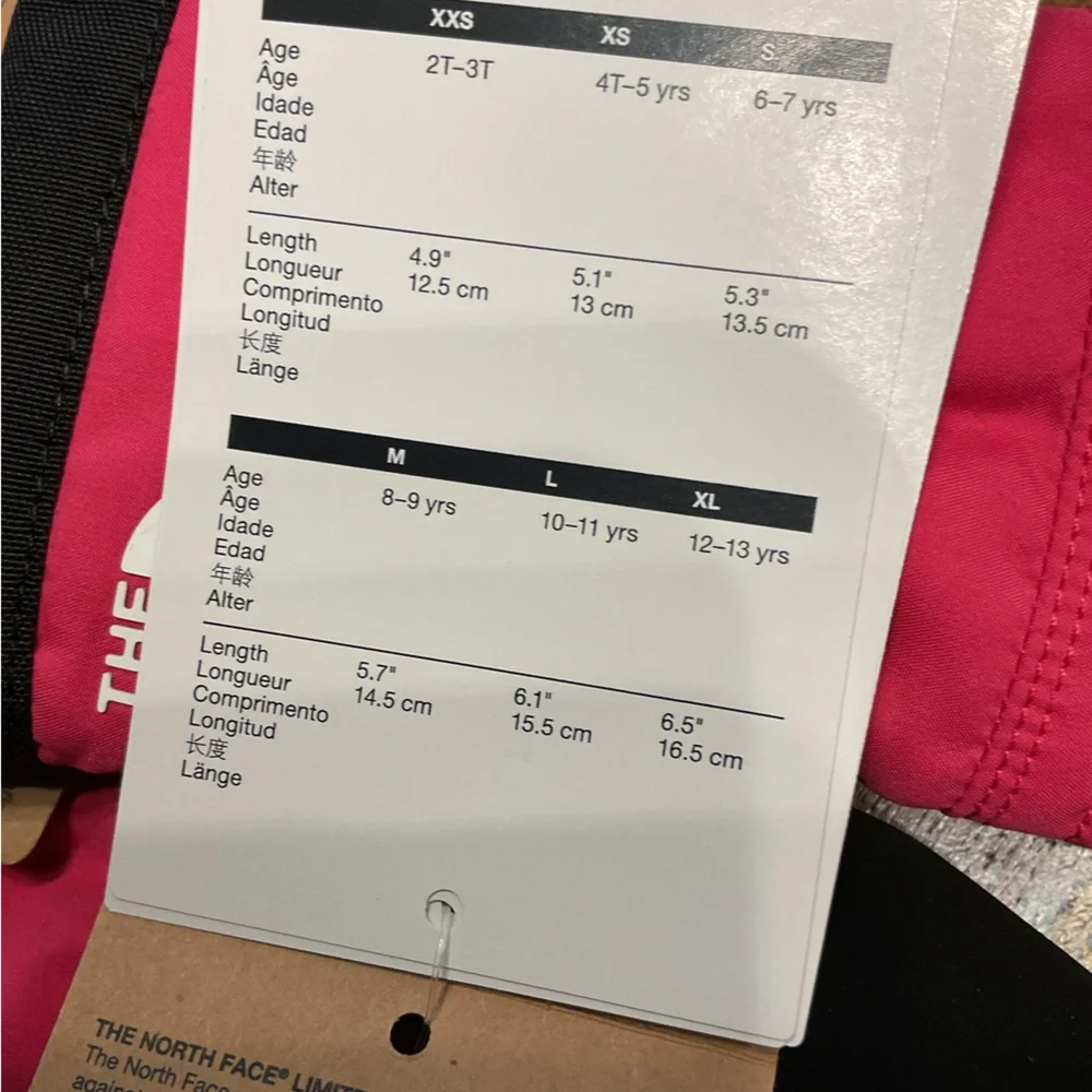 NWT North Face Kids Montana Ski Mitts